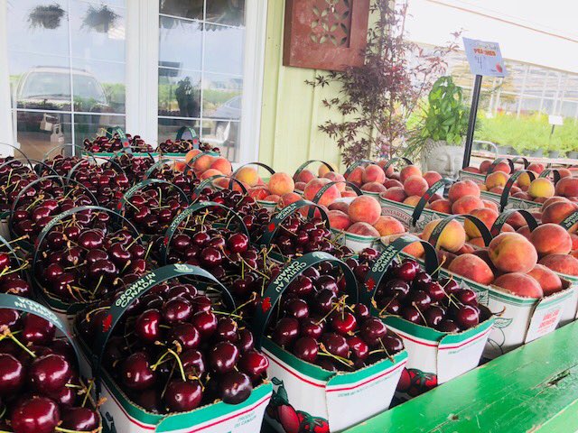 Fresh local #niagara produce now here! #peaches #cherries #apricots #apples #garlic