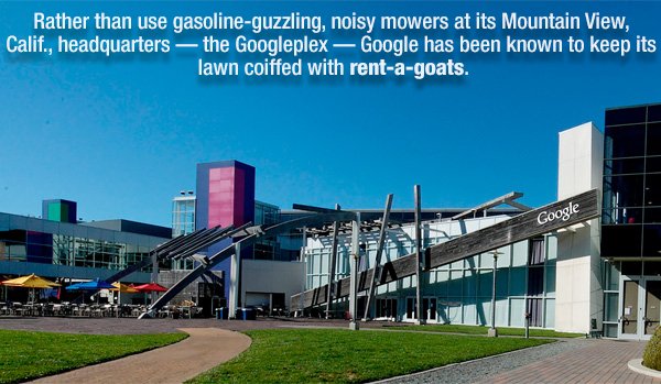BDIEXIT's tweet photo. Fun Fact of the Day! #realesate #realtor #Inspiration #Motivation #EXITREalty #BDIEXIT https://t.co/GsVcBAN3wt https://t.co/RqpBobw5cl