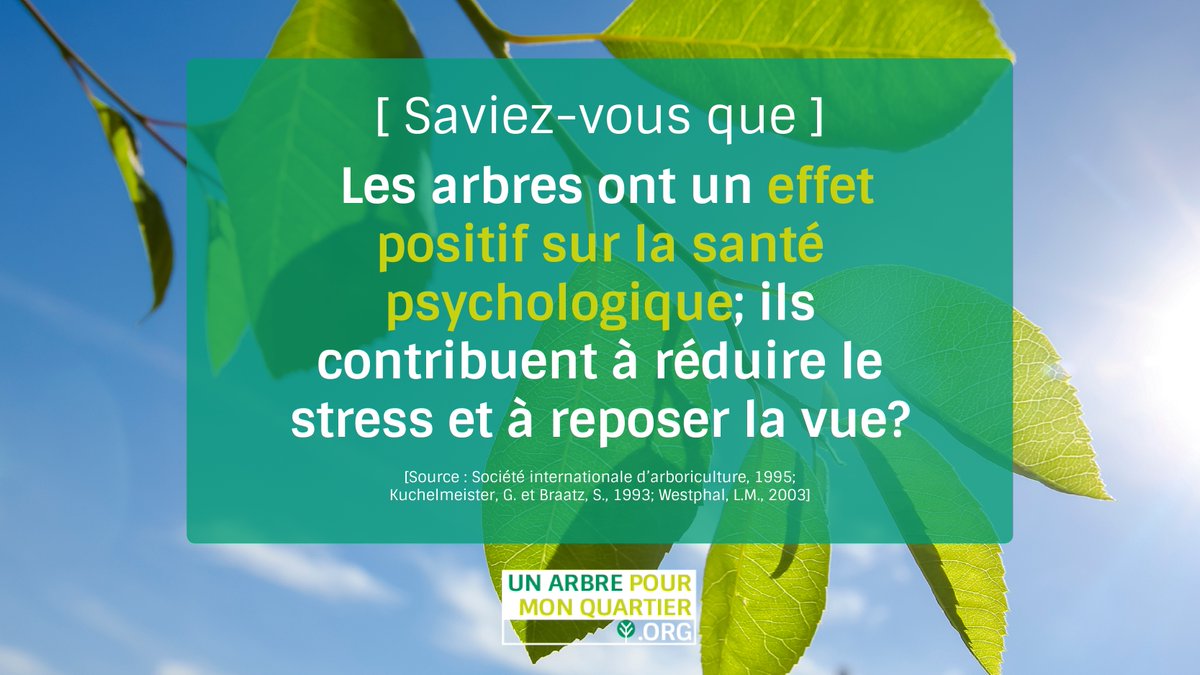 Rien de tel que de s'offrir un moment de détente en nature! Et vous, avez-vous déjà observé les effets thérapeutiques de la nature sur votre bien-être? #uapmq
UNARBREPOURMONQUARTIER.ORG