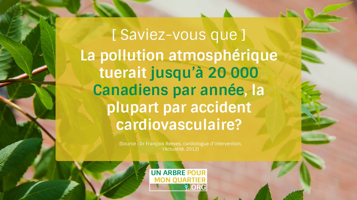 Qd la pollution atmosphérique augmente, les infarctus se multiplient. L’arbre est un gd dépollueur qui capte des tonnes de CO2 et de composés organiques volatils toxiques pr les métaboliser et les rendre inertes, ce qui diminue les risques d’infarctus. #uapmq