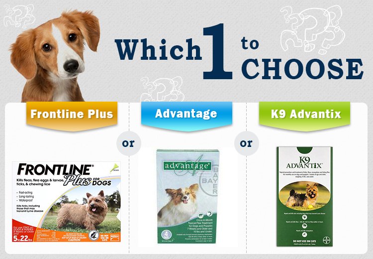 petcaresupply's tweet image. Which One To Choose – #FrontlinePlus, Advantage, Or K9 Advantix?

bit.ly/2JrU0uO #fleaandtick