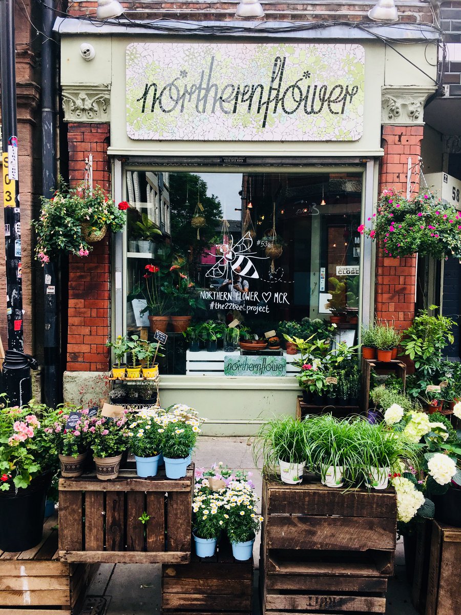 Top effort ⁦<a href="/NorthernFlower1/">Northern Flower</a>⁩ for  making your patch of Tib Street a thing of beauty! 🌹#Manchesterbee