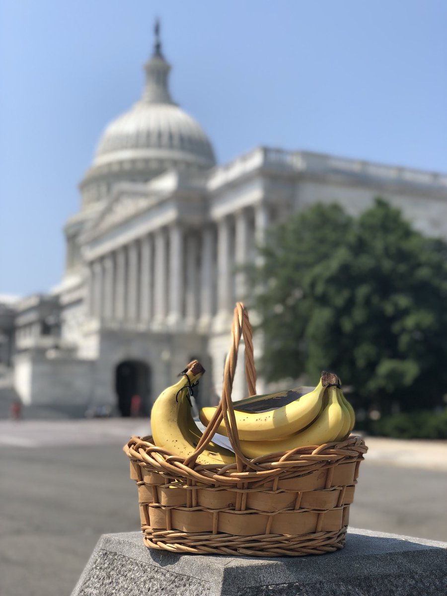 B-A-N-A-N-A-S! Just dropped off some #PrimeDay goodies to Senate offices to celebrate the number of small and medium sized business in their state. #PrimeDayDC has officially begun! <a href="/amazon_policy/">Amazon Public Policy</a>