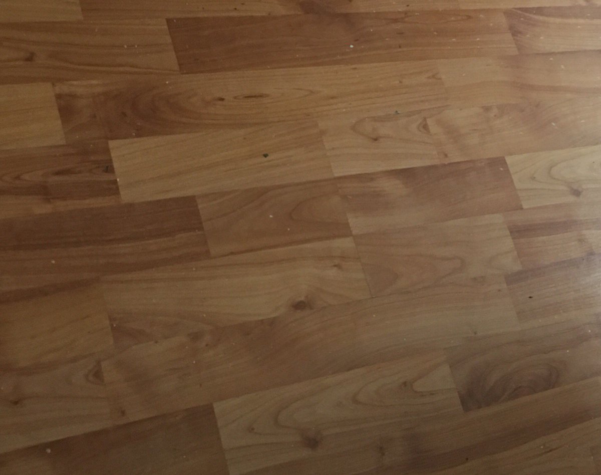 CarolKettley's tweet image. Thank you. She blends in well with my flooring 🤣🤣#samecolour