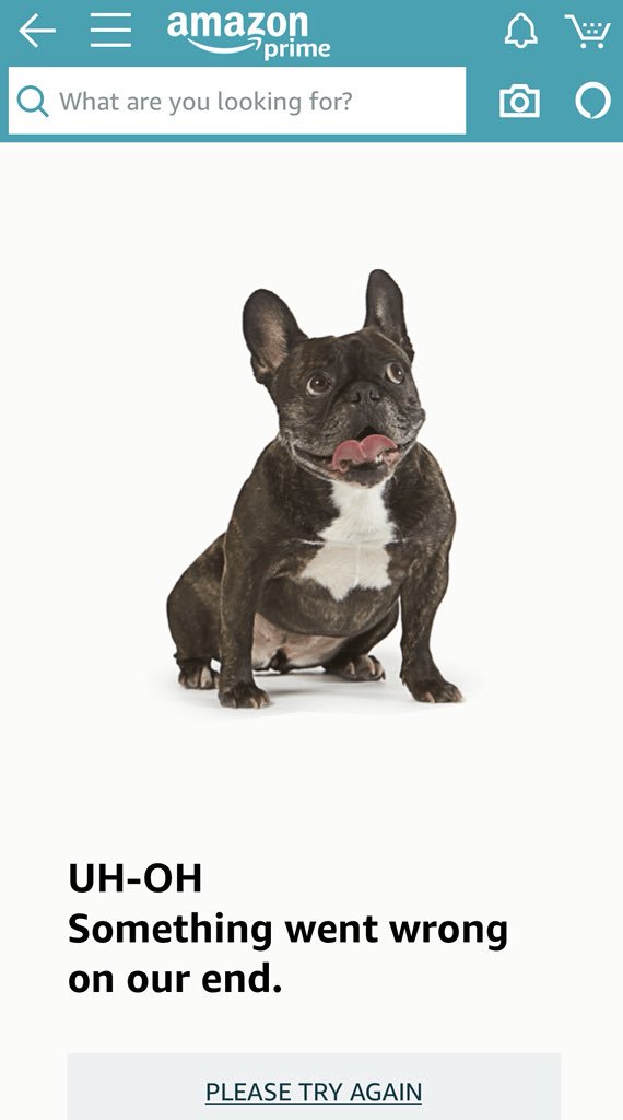 brovender's tweet photo. @amazon Cute dog though...🤣 https://t.co/UkyNKNJm9Z