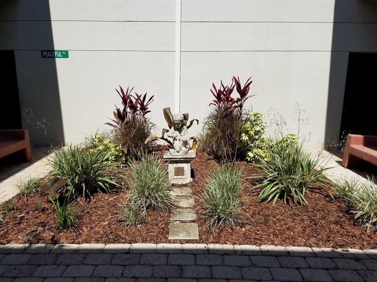 EssrigHCPS's tweet photo. A huge thank you to Pastor Tito and his team from the Tabernacle of God Tampa. Our students will be continue to be proud of their campus thanks to your beautification project. Thank you for your time and sweat. https://t.co/wVxBLCbice