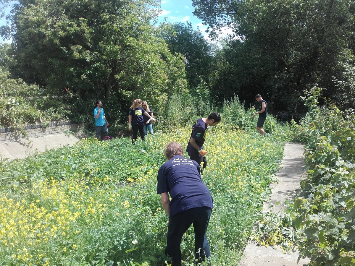 What are you up to on Fridays? Would you like to join the Hackney Green Gym as a Volunteer Officer? Check out our New Volunteer Role on  <a href="/environmentjob/">Environmentjob.co.uk</a> environmentjob.co.uk/volunteering/6…

#volunteering #community #Hackney #greengm20 #loveparks #conservation #wildlife #nature