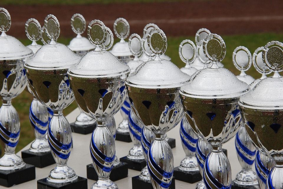 HorribleAdvice3's tweet photo. "If participation trophies helped shape this generation, maybe they aren’t so bad. But I’m not saying they did. I’m saying they’re a piece of plastic and nobody cares about them." Read more about this despicable generation and their disgusting trophies:https://t.co/7wZy9JxCDz https://t.co/tiq7iT7kzd