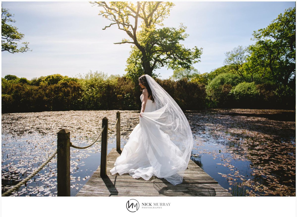 Fabulous photo of bride Hannah by @nickmurrayphotograph at the gorgeous wedding venue, @oldwallsgower 💗 #ellierosebride #hayleypaige #rivergown #hayleypaigebride #ellierosebridal