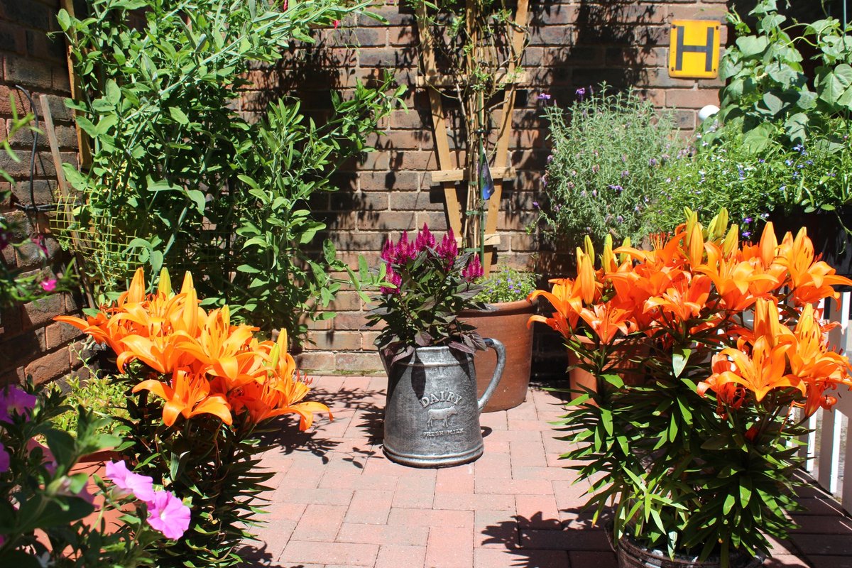 Do you #LoveParks as much as we do? Submit your own natural masterpieces in  #BrumInBloom2018! Find out more and how to enter here:   socsi.in/bibcomp_y3NBF