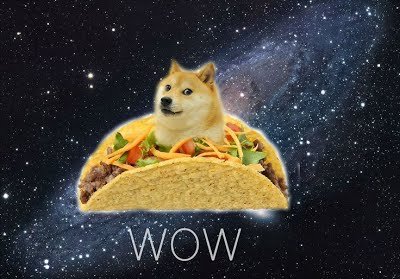 IceWeekTeam2's tweet photo. This rare taco doge is only seen once every 5 Ice Weeks.. Share him for good luck https://t.co/h99Kozf5kU