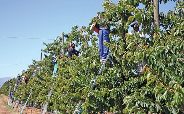 Can #agriculture really create jobs? If not, why not? bit.ly/2Nn6E0v #Smallholder #farmers #foodsecurity #Africa #YouthInAg #Agripreneurs #Agribusiness #Investment