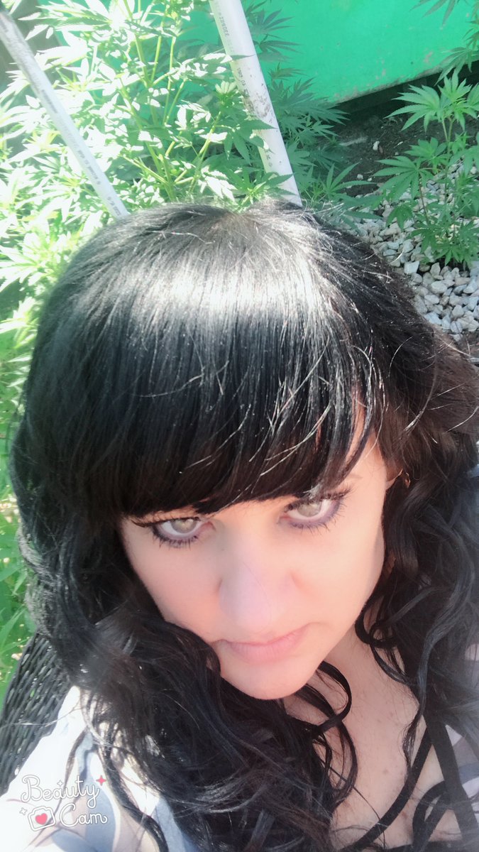 ChastainSnowy's tweet photo. 420 Friendly https://t.co/lOij9bVHMh