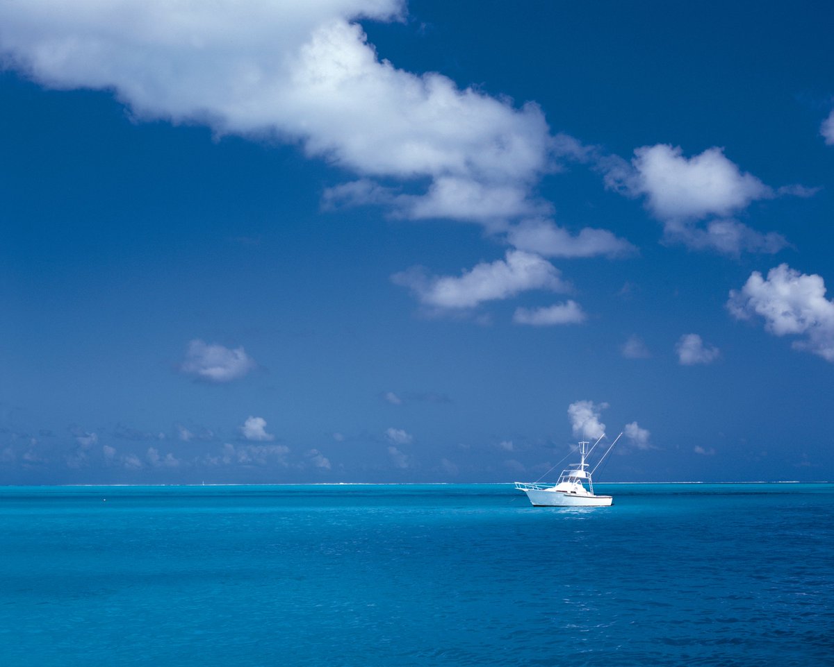 Zephyr Yachting tweet media