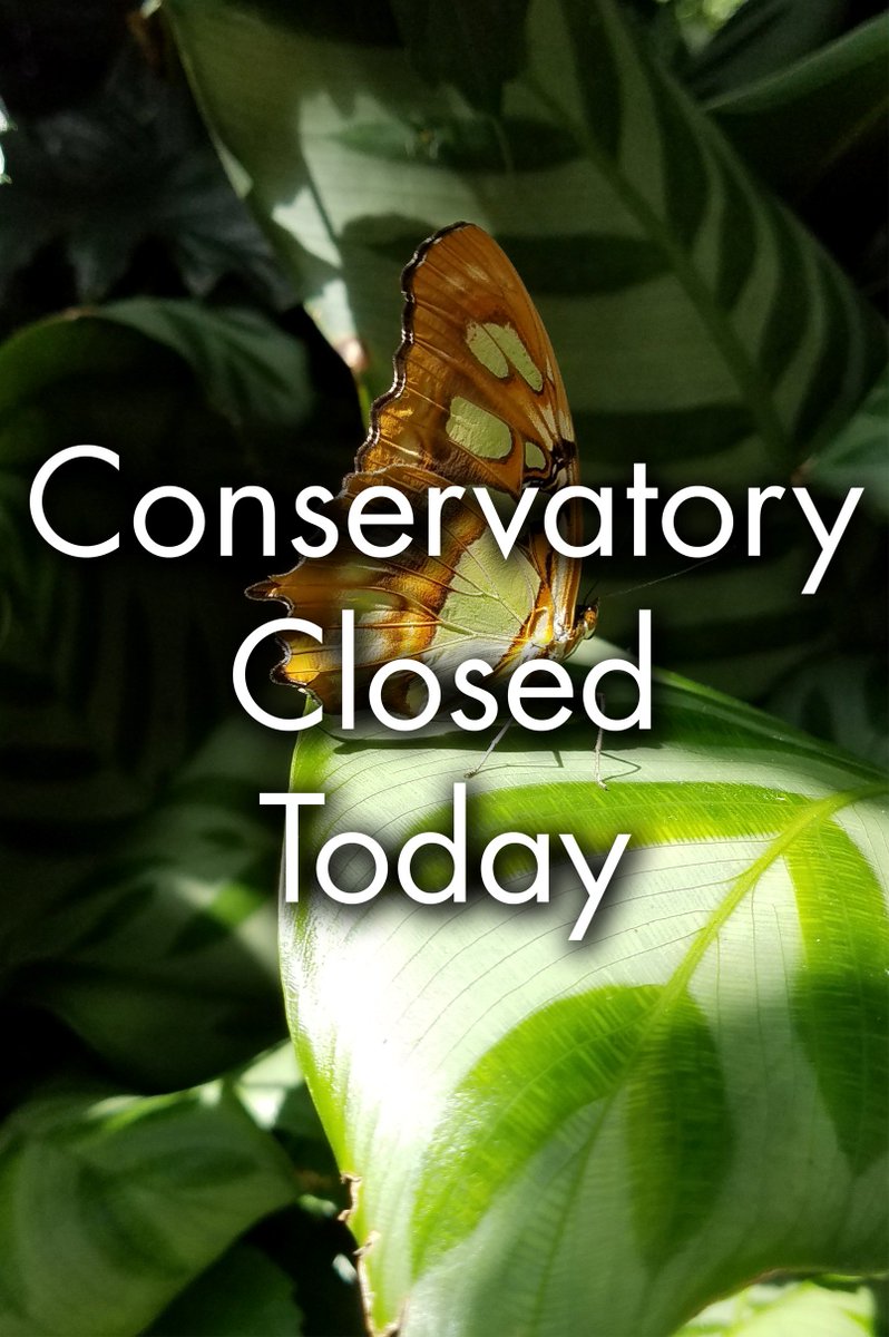 Just a heads up - the Bolz Conservatory will be closed Monday, July 16, and Tuesday, July 17, while we prep the space for our upcoming Blooming Butterflies exhibit.