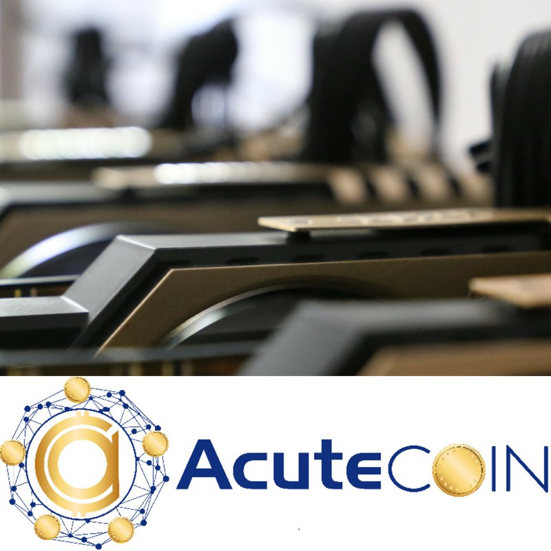 acutecoin's tweet photo. We offer opportunity. #AcuteCoin #Crypto https://t.co/sLIbhNIEIt