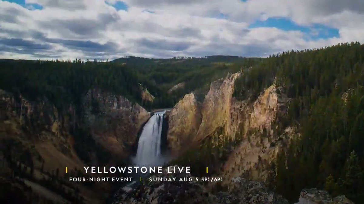 A live event as big as Yellowstone itself! Witness four nights of