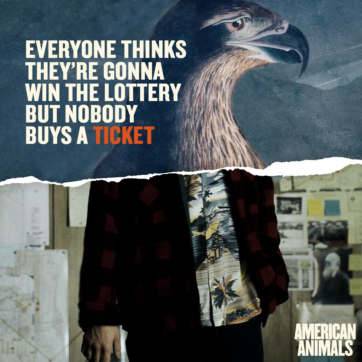 Don't miss the heist film critics are raving about.
#AmericanAnimals is now playing in select theaters.