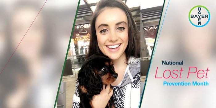 Elanco4Pets's tweet photo. About 5 to 7 million pets end up in shelters each year! For #NationalLostPetPreventionMonth, include a picture of you and your pet in your emergency preparedness kit. #PreventLostPets @AdoptaPetCom https://t.co/BpN32XVMEX https://t.co/xRgojvIb1n