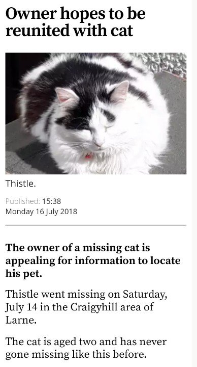 RT PLEASE <a href="/DiscoverNI/">Northern Ireland</a> <a href="/NorthernIreland/">Northern Ireland</a> #NorthernIreland #Larne #NI #CraigyHill #missingcat #cat  RT <a href="/Balls_Of_Fluff/">Balls Of Fluff</a>: Owner hopes to be reunited with #Cat bit.ly/2usjNy5 pic.x.com/Y66Cfq2R9m