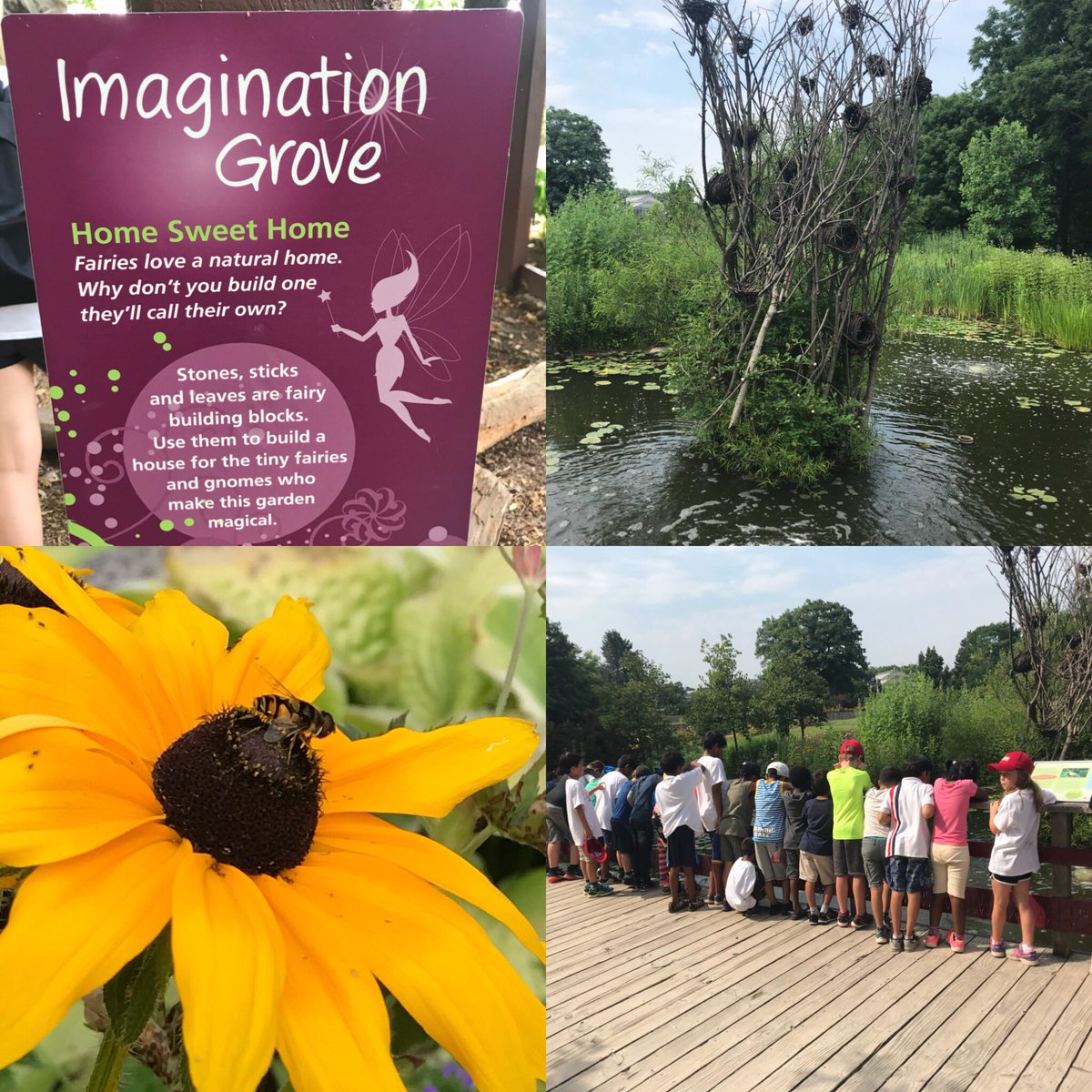awardslp's tweet photo. @brucetrailps sharing about our favourite memories from The Royal Botanical Gardens. Did you know most living things are smaller than your thumb nail? https://t.co/n0tdsLkrhp