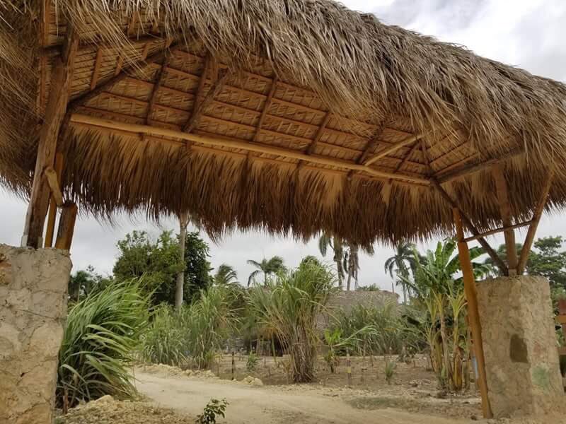 alistchoice's tweet photo. #PuntaCana #DR #beauty #culture https://t.co/TVu6QC7JlK