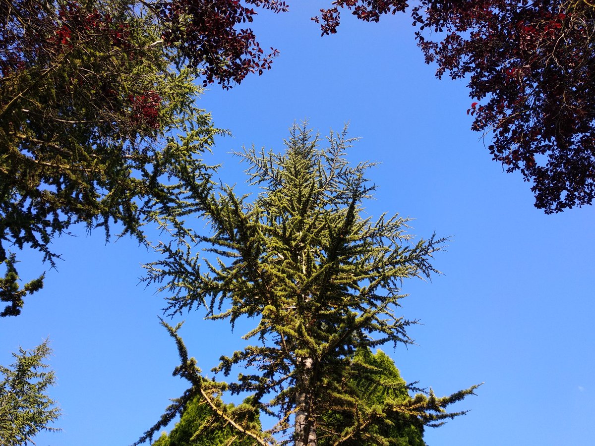 Tarde de un 16 de Julio cualquiera
 #Torresandino2018 #pueblo #amigos #fiestas