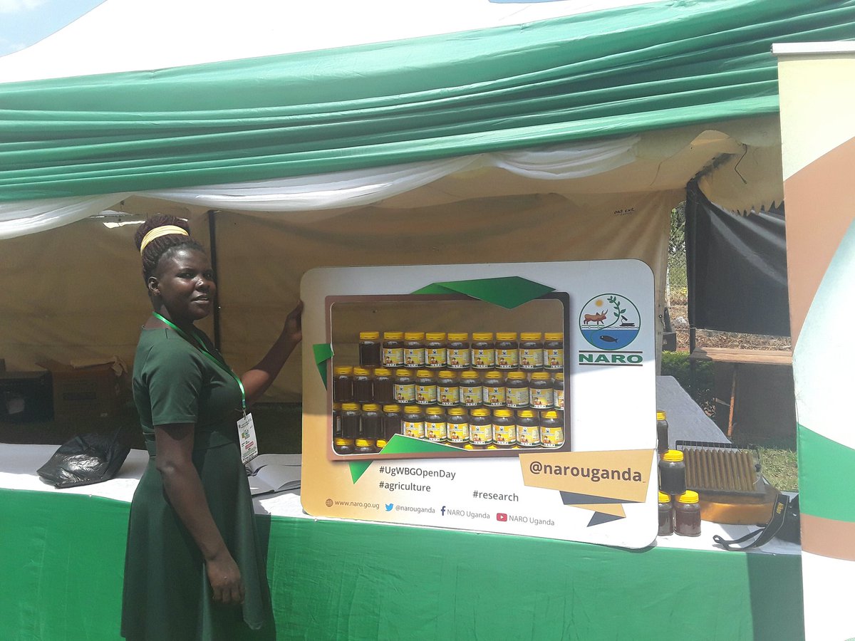 BulindiZ's tweet photo. @BulindiZ @narouganda @MAAIF_Uganda is equipping #AgricShowUG2018 participants with skills in production of quality honey, propolis, venom, bee wax &amp; bee wax candles for improved livelihoods. You're wecome to our stall to acquire these skills! #Naro4Devpt @unffe @OWC_ug https://t.co/0xqWgaDkqm