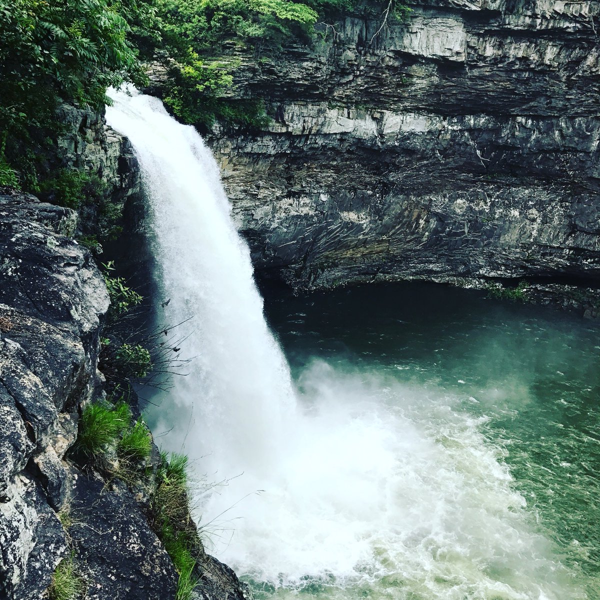 c_robertkelly's tweet photo. https://t.co/gwA7l7uqVk come hike with us! #hike #hiker #Travel #anxiety #GoDaddy #helpinghand #depression #CSRA #EverybodyIn #follow #Like #adventure #nature #relief https://t.co/FN6bw6zmyo