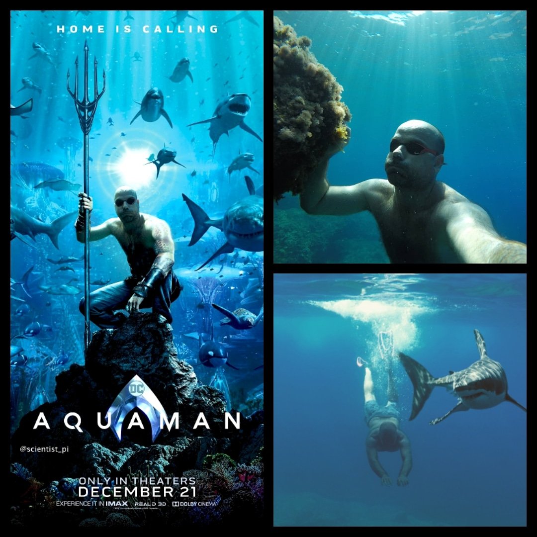 scientist_pi's tweet photo. Cuando eres AQUAMAN
#mediterraneamente
#scubadiving #scubapr #gopro #life #nature #underwater #ocean #natgeo #gopro_epic #underwater #gopro_boss #epic_captures #EatSleepScuba #goprooftheday #goprohero4 #epic_captures #dronelife #islandlife #gopro #epic #aguadilla #GOPRO https://t.co/2RIM9RIgnM