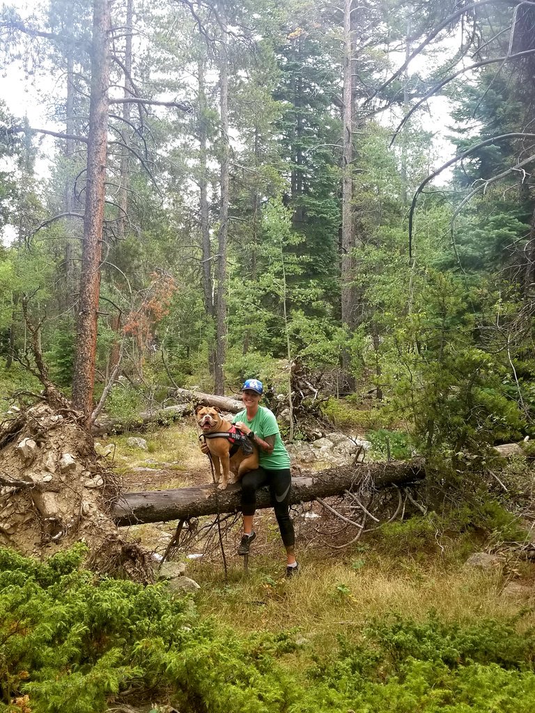TBSCrunning's tweet photo. Sometimes you just gotta run away to the mountains. https://t.co/6fQeYLbEQ6