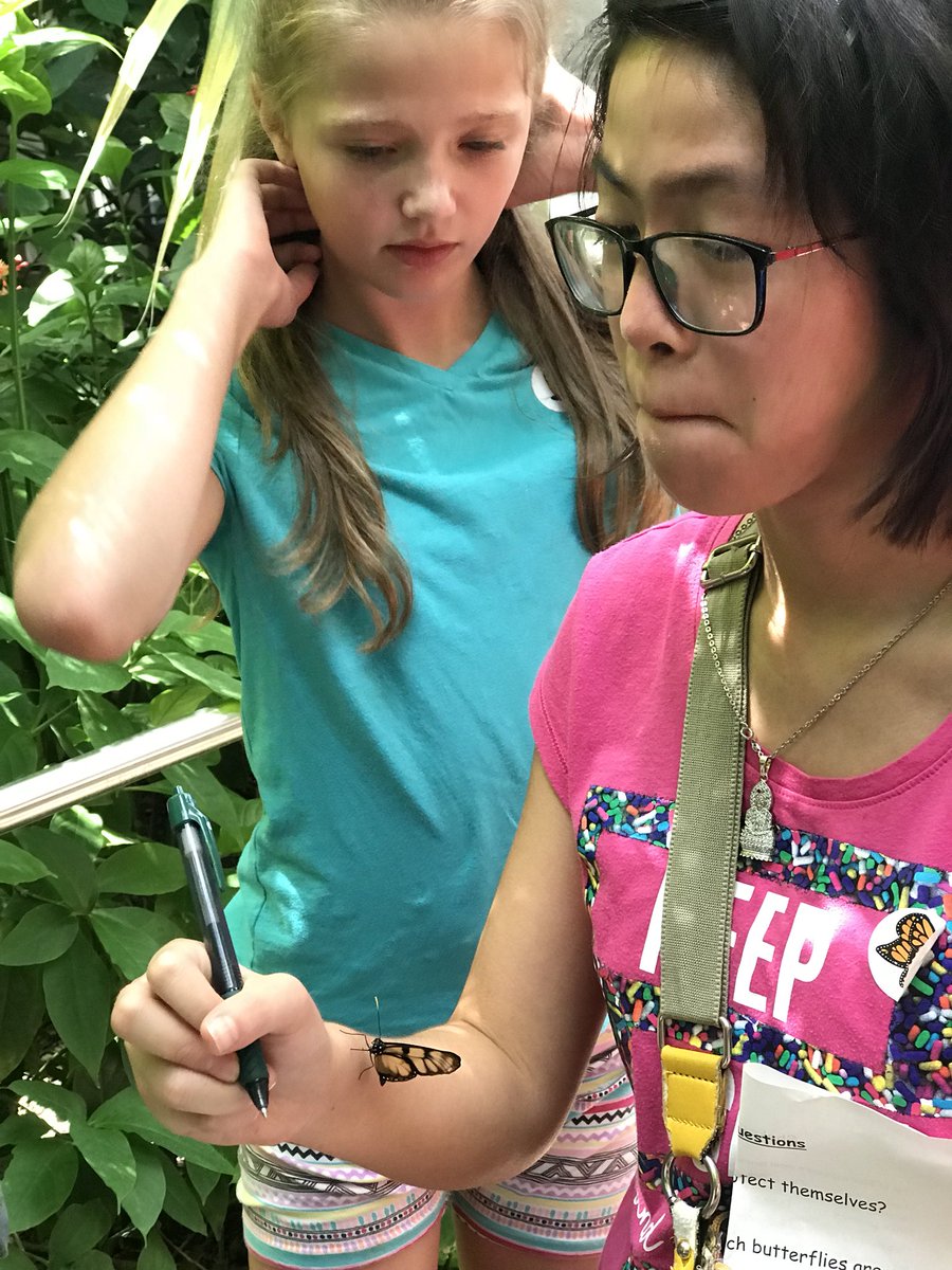 SitrinS's tweet photo. DFW Wildlife @TexasDiscovery Butterfly release! @DiscoveryGISD18 https://t.co/wAtV7PCHMv