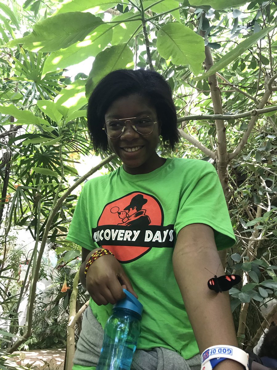 SitrinS's tweet photo. DFW Wildlife @TexasDiscovery Butterfly release! @DiscoveryGISD18 https://t.co/wAtV7PCHMv