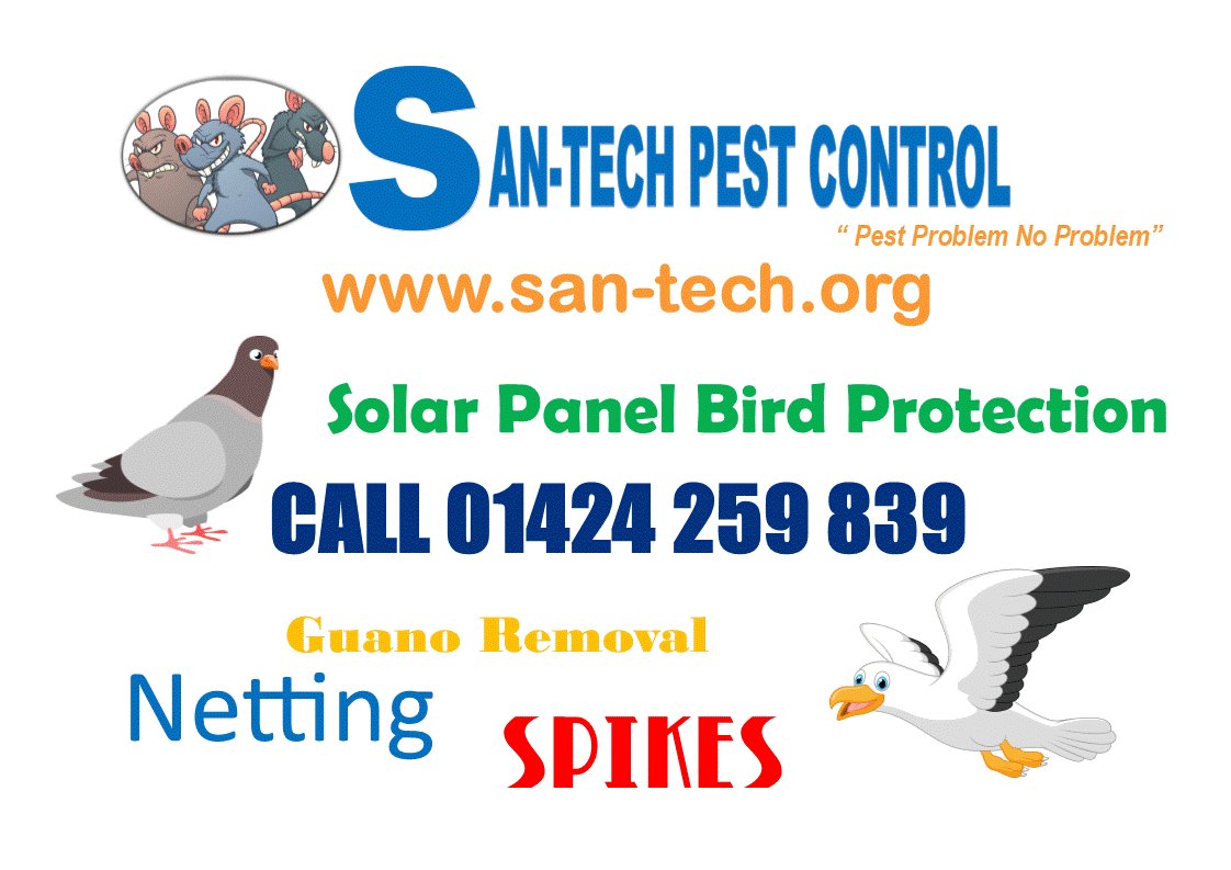 infoSantech's tweet photo. https://t.co/0gKEvxdiK8