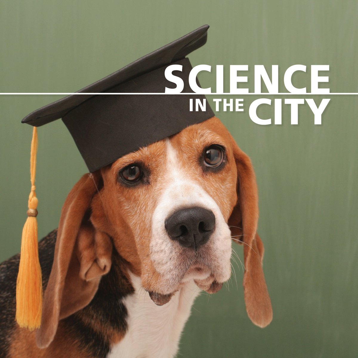 PacSci's tweet image. Join us for a conversation with @SeattleHumane at #ScienceintheCity, on July 17 as Disa Emerson details of all the #behavioralmodification techniques it takes to make a #rescueanimal #adoption-ready. #seattle #pets ht.ly/5ZD930kIx48