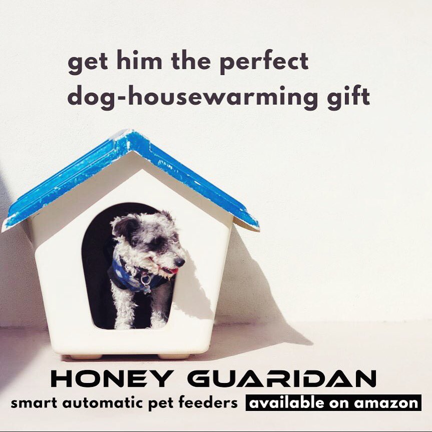 honeyguaridan a26 automatic pet feeder