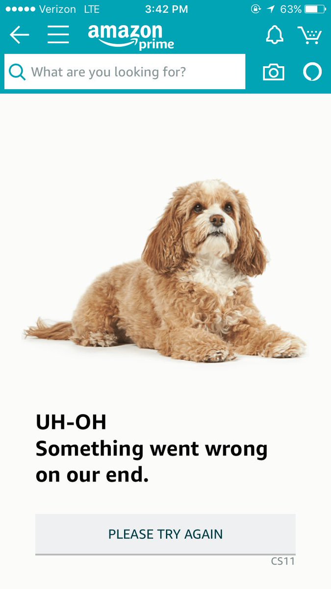 ClassAct_Co's tweet photo. Happy #PrimeDay 
It looks like @amazon is celebrating our opening this week #GoodDogs https://t.co/IE3whV2oi0