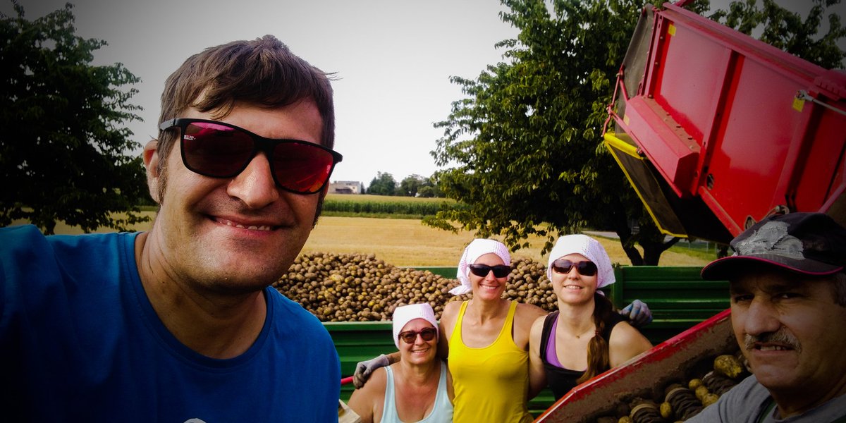 Familypower! Damit nach der #WM2018 auch noch reichlich Chips gibt! #Ernte