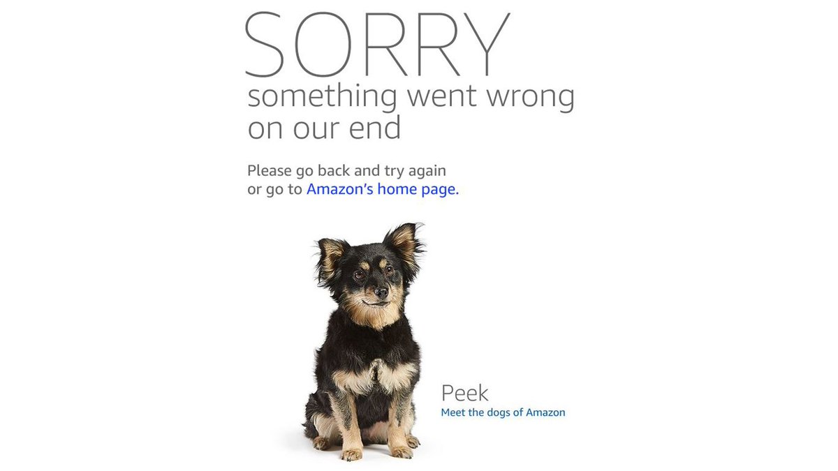 AndrewSWeil's tweet image. Amazon Prime Day got off to a "ruff" start, so they brought in some good boys to calm down customers who were barking mad #DogsOfAmazon 9news.com/article/news/n…