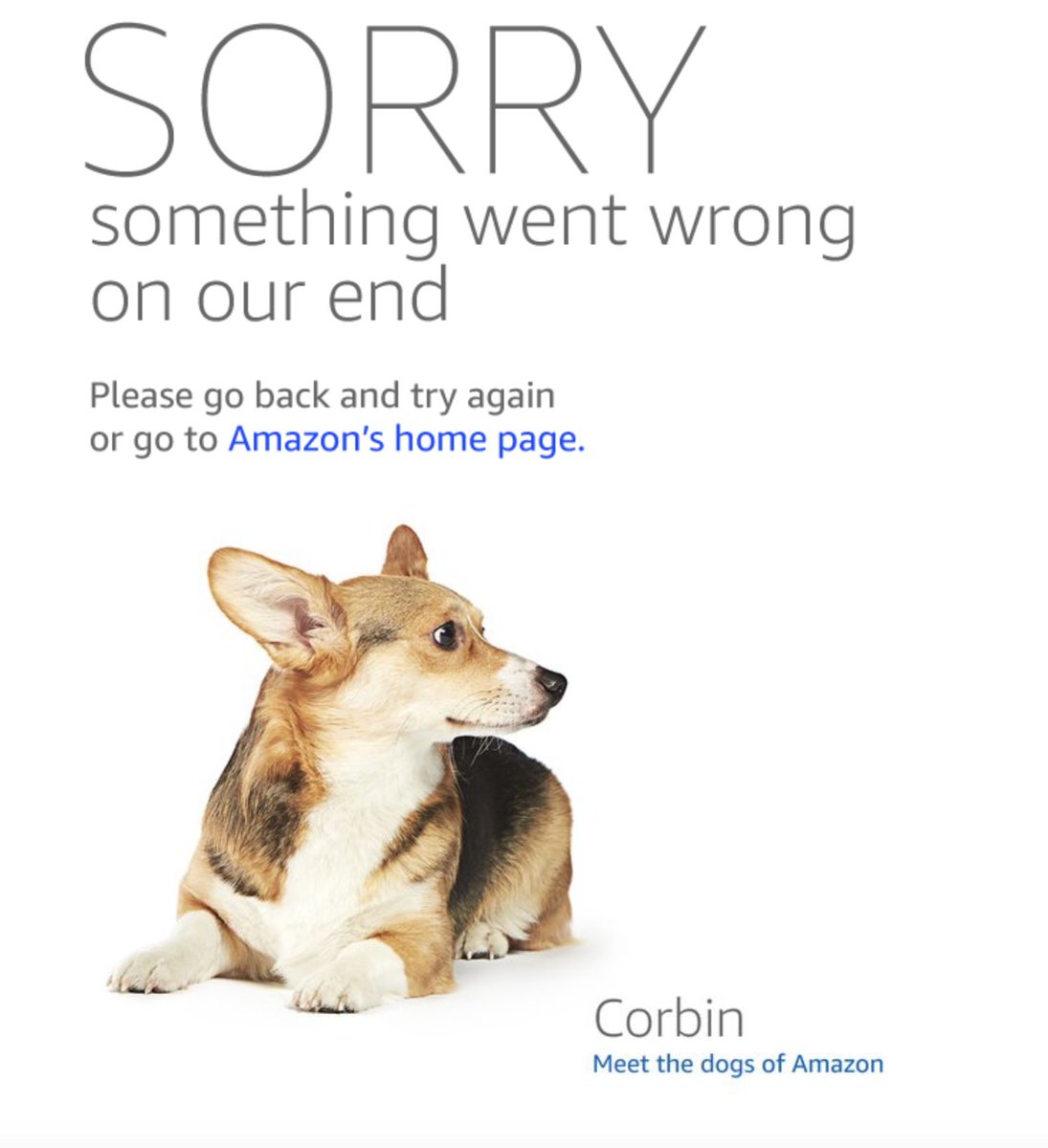 joshuaclintonn's tweet image. I’m sorry, Corbin….but you are NOT being very good boy… #amazoncrash #dogsofamazon #PrimeDay2018