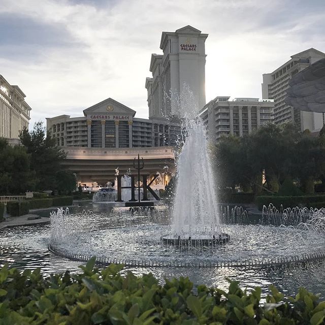 zanymomintx's tweet photo. Have you eaten at Hells Kitchen in Vegas yet? #HellsKitchen #LasVegas #visitlasvegas #caesarspalace #iamcaesar #mytravelpics #mytravelgram #wanderlust #wanderingnotlost #vegasstrip #wheretonext #fountains #indeeph2o https://t.co/cbjbHBabYS https://t.co/1oM5OR0U3Y