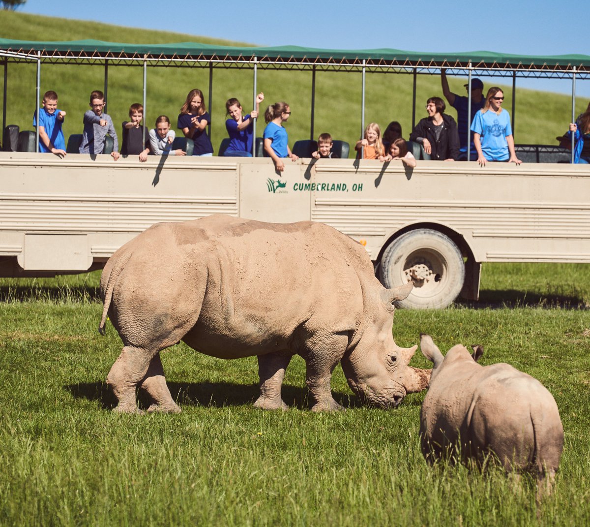 OhioGoodforLife's tweet photo. Thanks to the ongoing support from @AEPOhio, @thewilds is home to more than 500 animals, representing 28 species from some of the world's rarest animals.
https://t.co/xEpkru8hXI https://t.co/THK7QVl1bu
