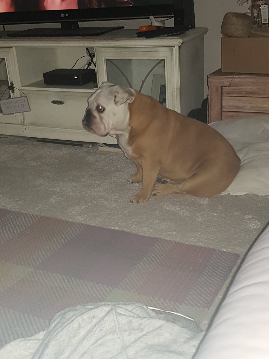 SammiBews's tweet image. When Georgia &amp;amp; Sam decided to stay!! 😂
#loyalbabe  #loveisland