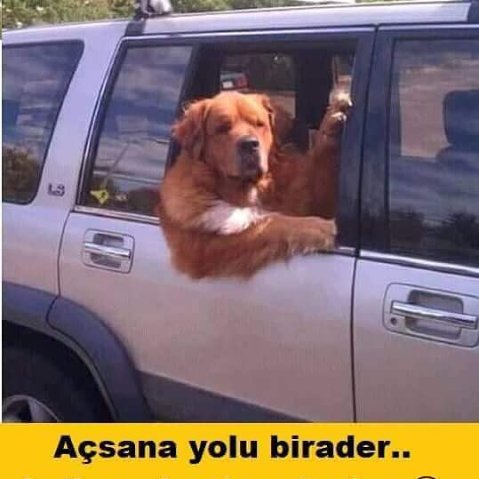 ilker sapan (@sapan_ilker) on Twitter photo 