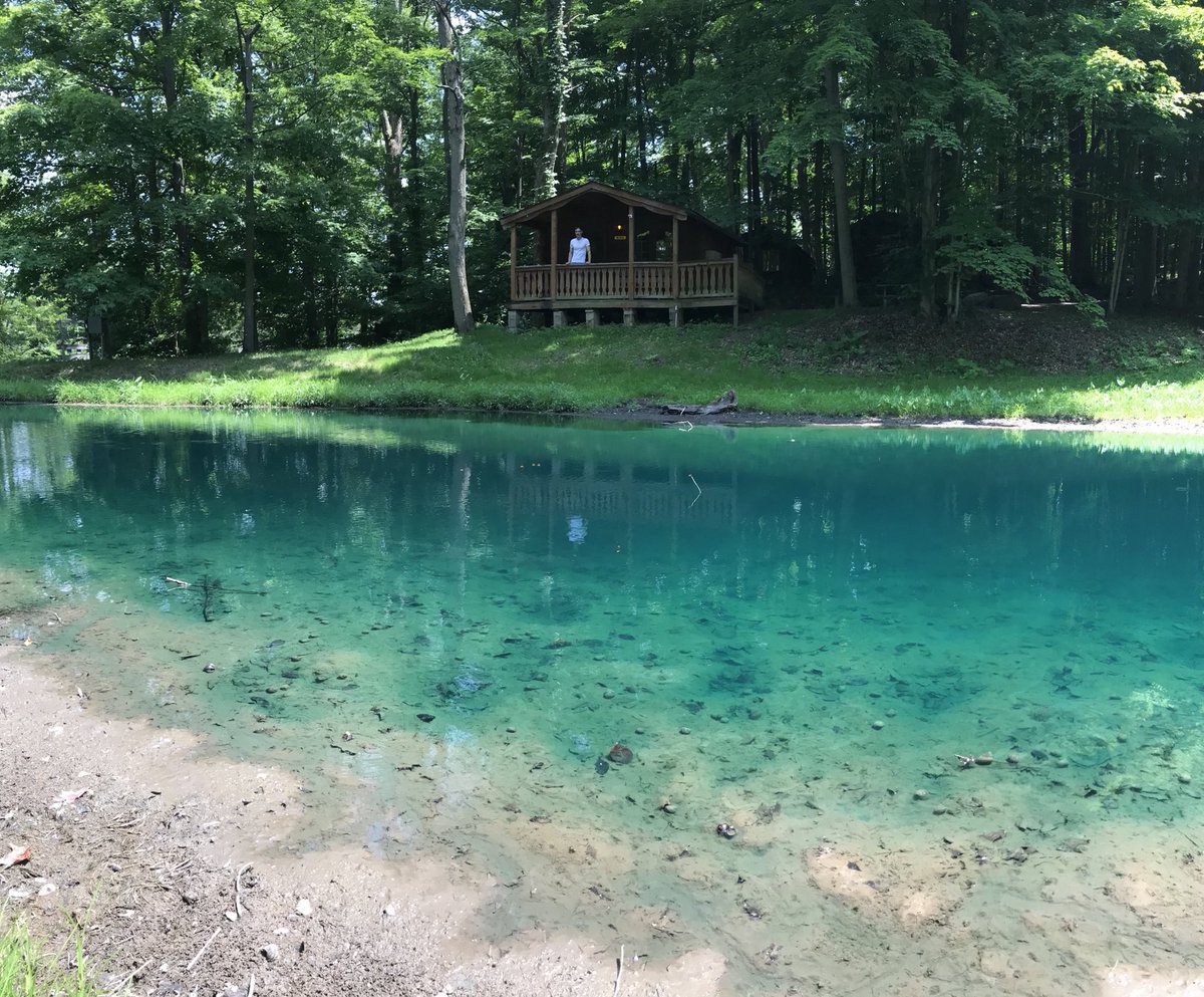 Brendan Jamison tweet media