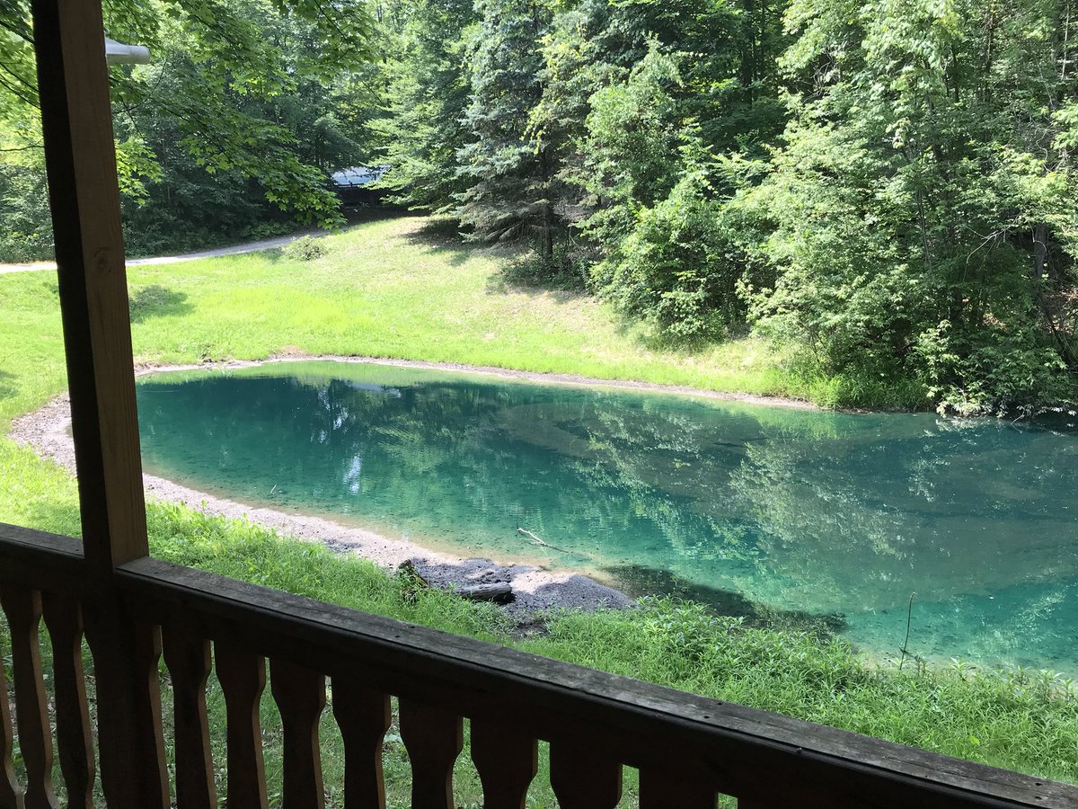 Brendan Jamison tweet media