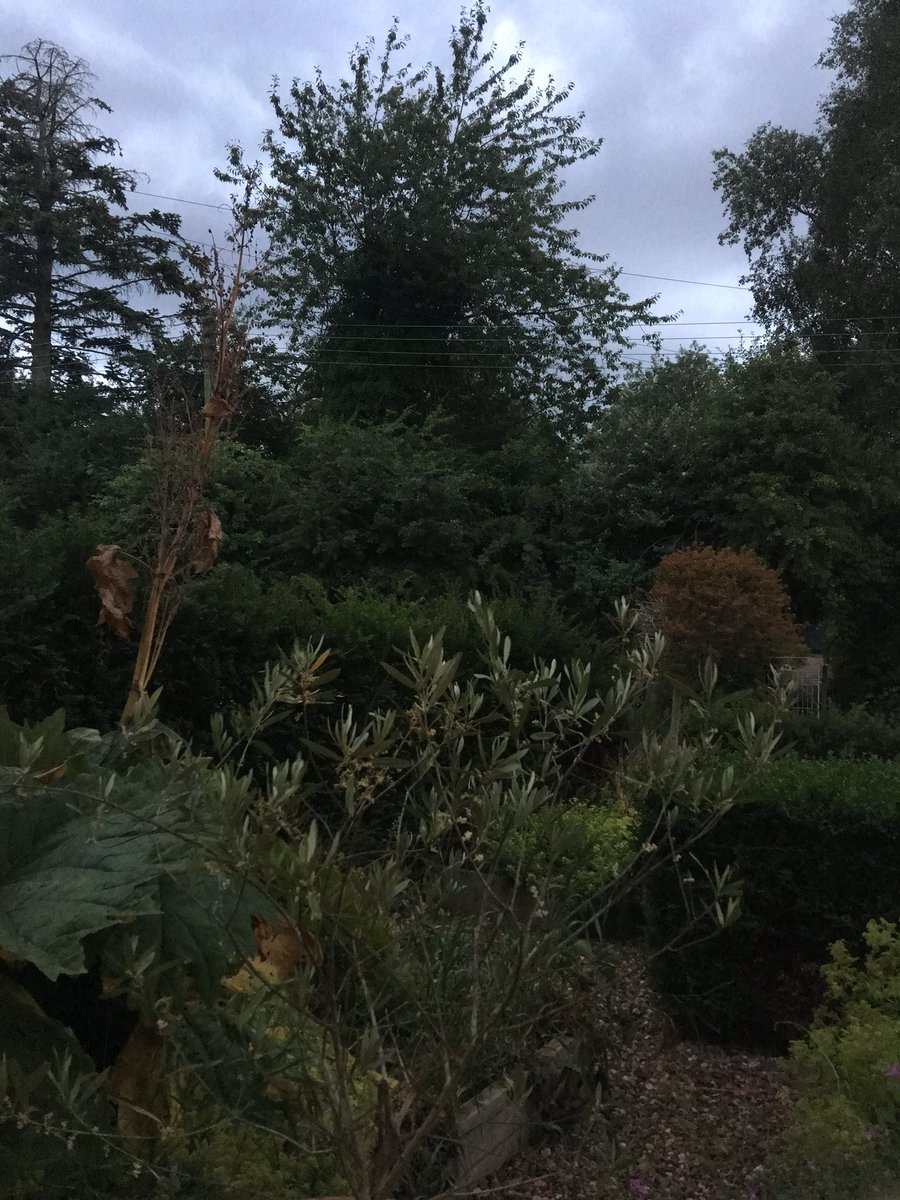 30 seconds of rain in Langham  ☔️