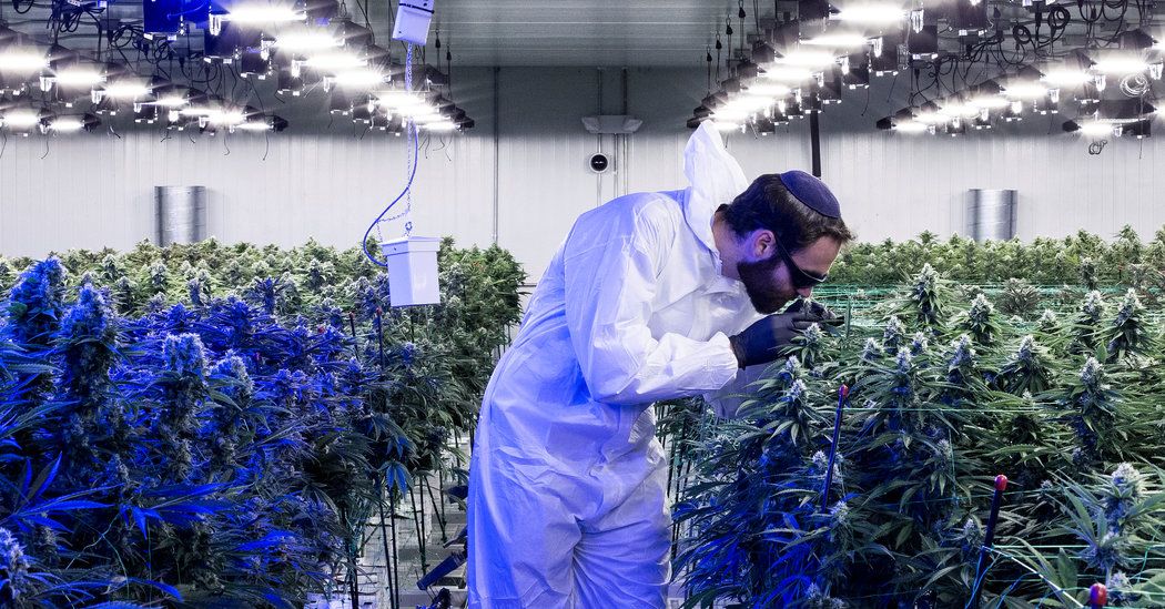 ThinkTankExile's tweet photo. In New Jersey, Legal Marijuana Is So Close You Can Smell It. But It Could Be Awhile. https://t.co/0uGC66i3wy https://t.co/y1Izidbhto