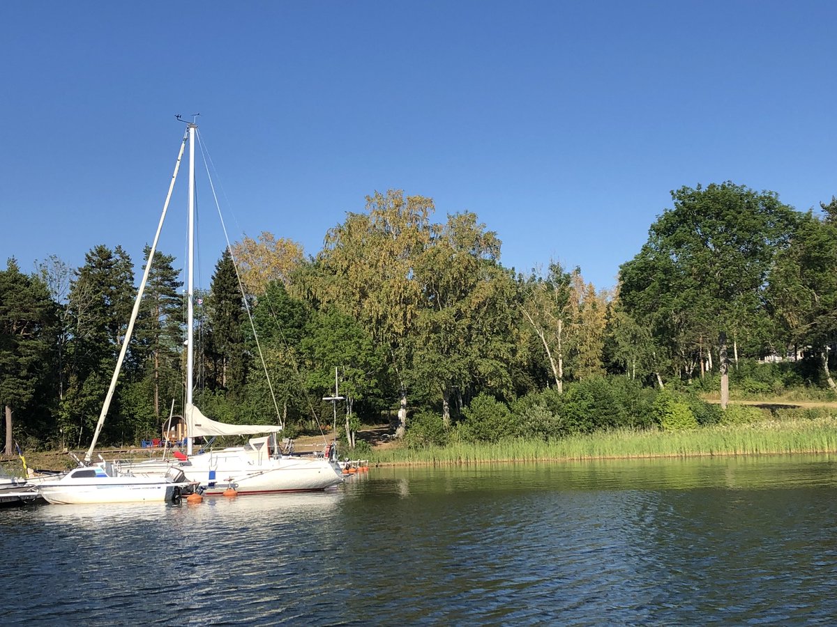 PVarverud's tweet photo. Gick Kvällsrundan med hundarna förbi kollogårdarna på Barnens ö - massa skratt, bus, disco, sommarlov, kubbturnering, kollektiv tandborstning #barnensö #sommarlov #gladabarn https://t.co/Vd5ATTxE62