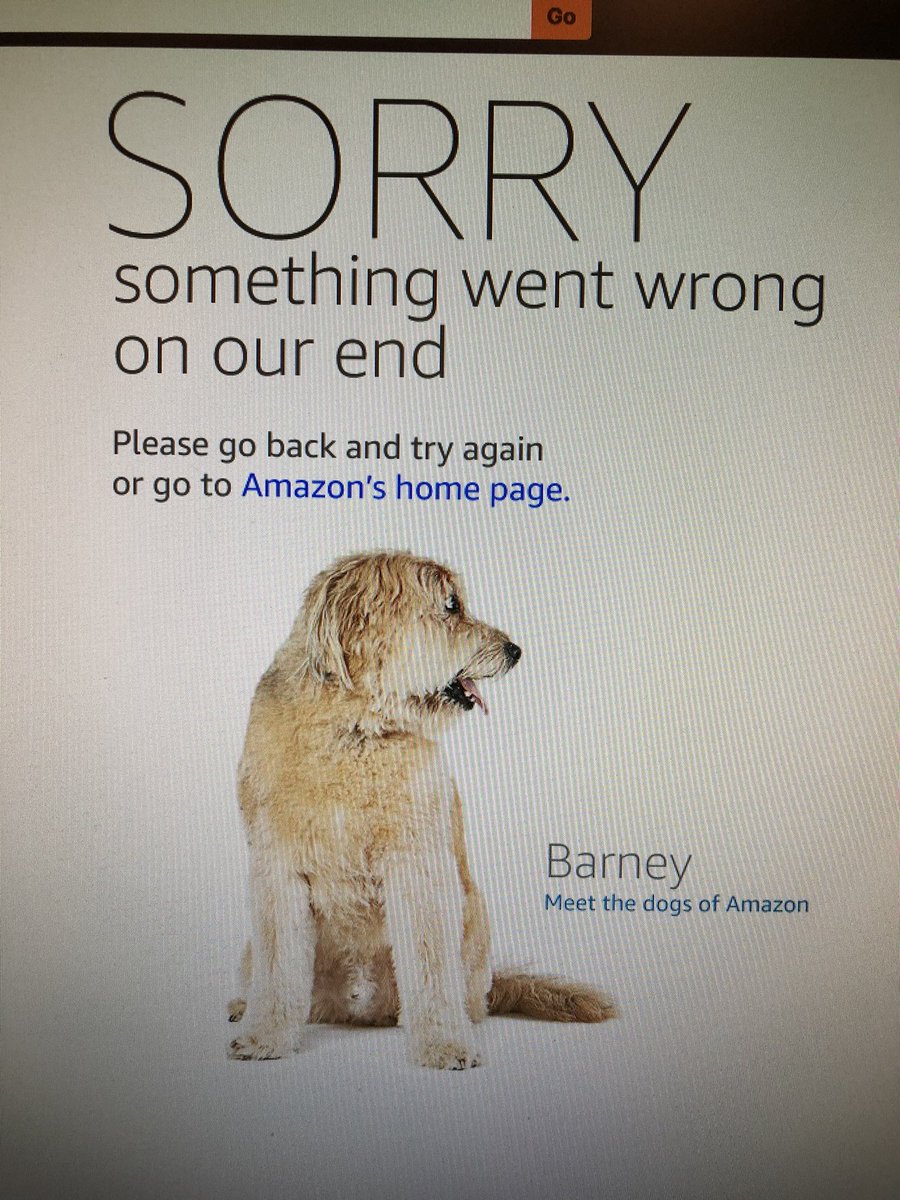 Leap_CX's tweet image. Is #PrimeDay crashing @amazon? I can’t complete my order.